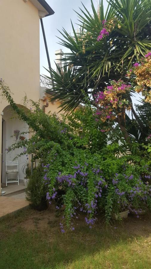 B&B Villa Orchidea Ольбія Екстер'єр фото