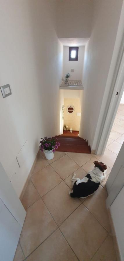 B&B Villa Orchidea Ольбія Екстер'єр фото
